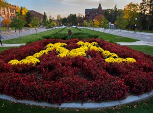 Planter on campus with maroon and gold flowers in the shape of a block M